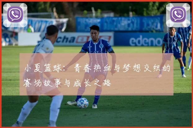 小夏篮球：青春热血与梦想交织的赛场故事与成长之路