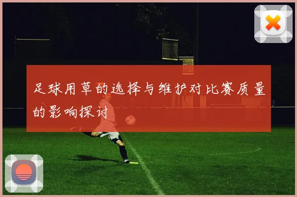 足球用草的选择与维护对比赛质量的影响探讨