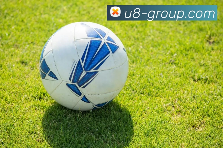 U8平台服务体系